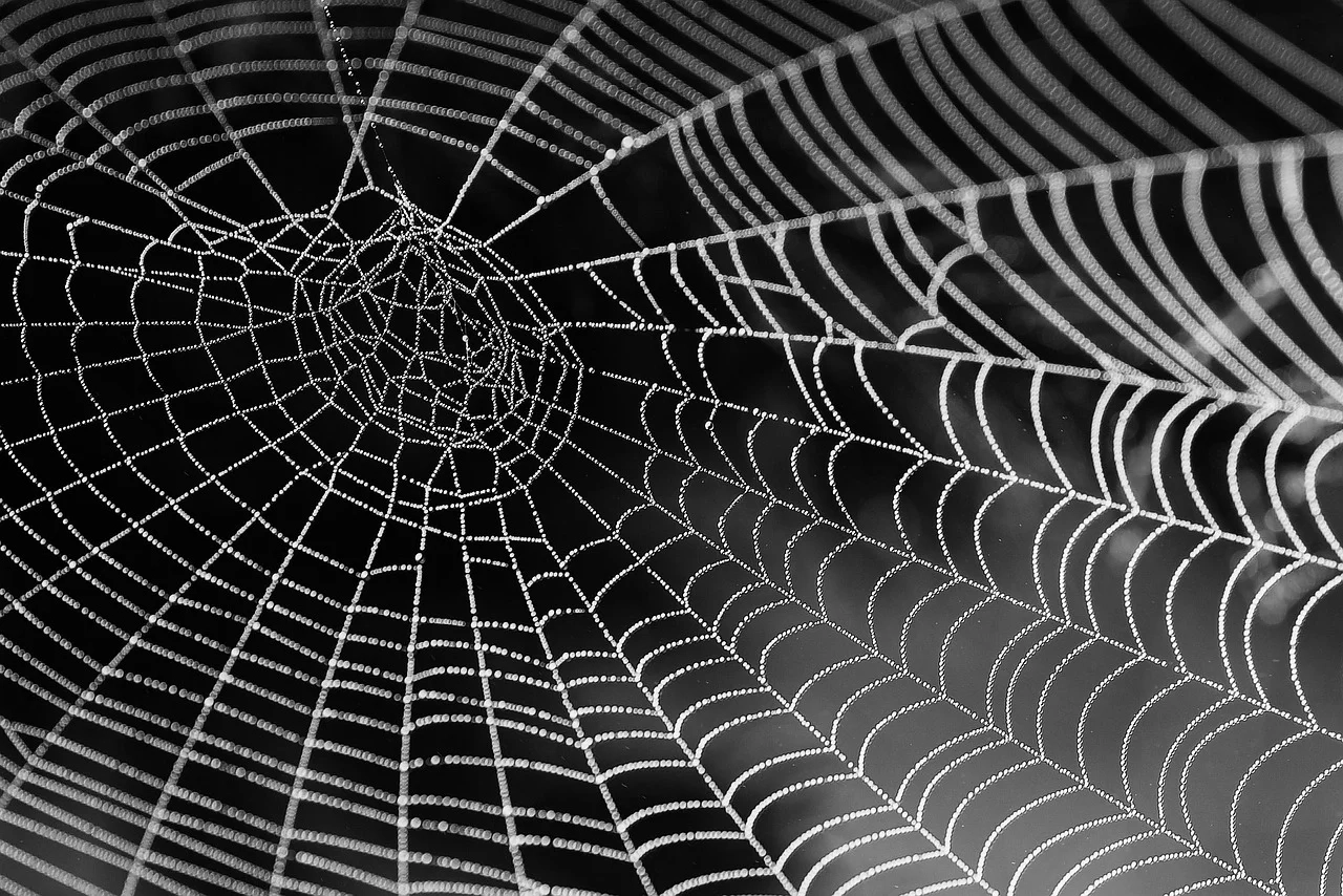 Principais tendências de web design para aumentar o envolvimento do usuário em 2024